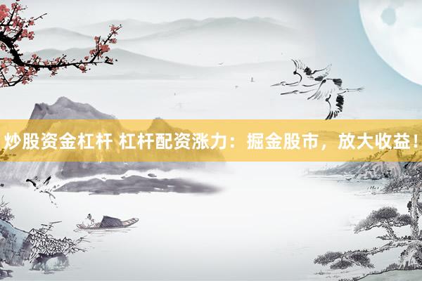 炒股资金杠杆 杠杆配资涨力：掘金股市，放大收益！