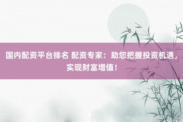 国内配资平台排名 配资专家：助您把握投资机遇，实现财富增值！