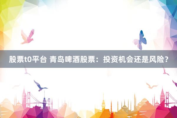 股票t0平台 青岛啤酒股票：投资机会还是风险？
