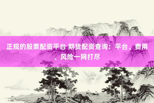 正规的股票配资平台 期货配资查询：平台、费用、风险一网打尽