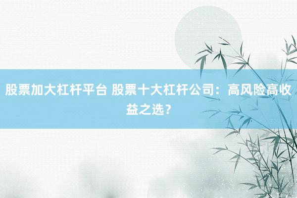 股票加大杠杆平台 股票十大杠杆公司：高风险高收益之选？