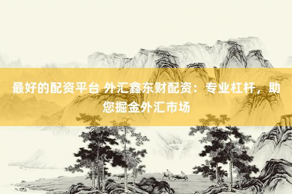 最好的配资平台 外汇鑫东财配资：专业杠杆，助您掘金外汇市场