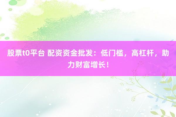股票t0平台 配资资金批发：低门槛，高杠杆，助力财富增长！
