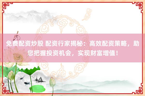 免费配资炒股 配资行家揭秘：高效配资策略，助您把握投资机会，实现财富增值！