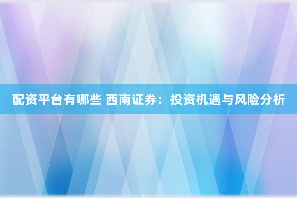 配资平台有哪些 西南证券:投资机遇与风险分析