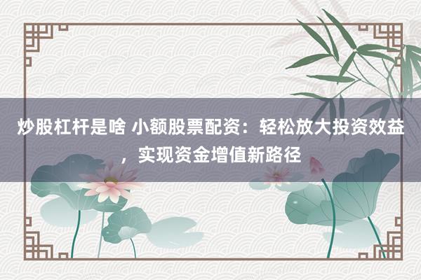 炒股杠杆是啥 小额股票配资:轻松放大投资效益,实现资金增值新路径