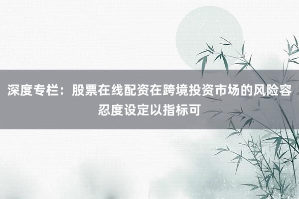 深度专栏：股票在线配资在跨境投资市场的风险容忍度设定以指标可