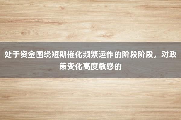处于资金围绕短期催化频繁运作的阶段阶段，对政策变化高度敏感的