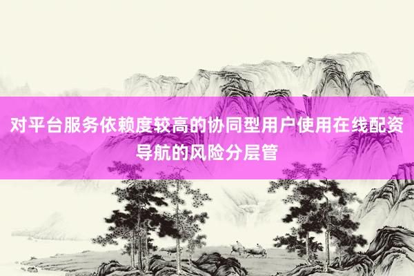 对平台服务依赖度较高的协同型用户使用在线配资导航的风险分层管