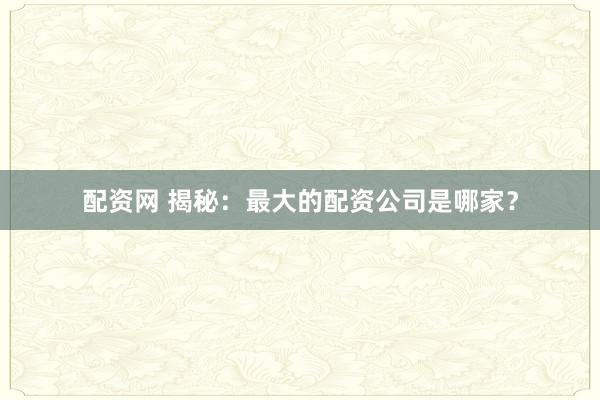 配资网 揭秘：最大的配资公司是哪家？